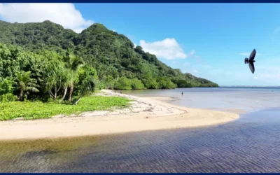 Conférence du 12 novembre « Les Argonautes de Vanikoro » avec Michel Laffon